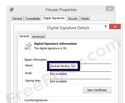 Screenshot of the Jenkat Media, Inc certificate
